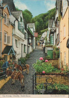 Devon Postcard - Donkeys, Up-a-Long, Clovelly SW10354
