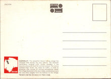 Load image into Gallery viewer, Devon Postcard - Donkeys, Up-a-Long, Clovelly SW10354
