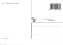 Load image into Gallery viewer, Switzerland Postcard - Bellwald 1559m, Wallis SW10356
