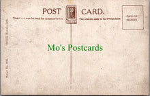 Load image into Gallery viewer, Scotland Postcard - Ayr, Auld Brig o&#39;Doon - MacIntosh SW10899
