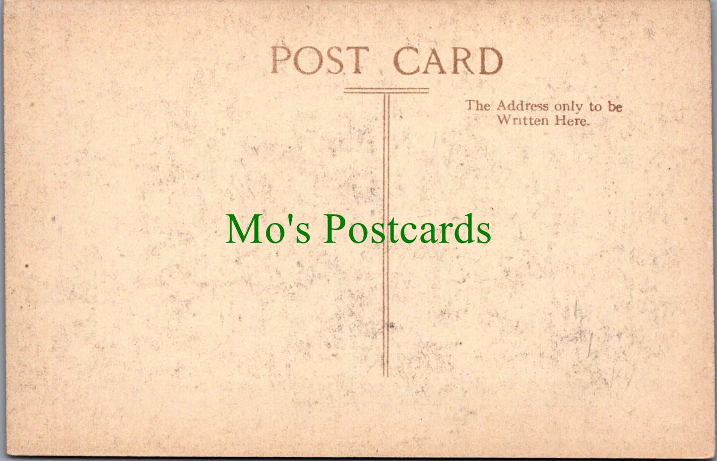 Isle of Wight Postcard - Carisbrooke Castle, The Keep Steps  SW10917
