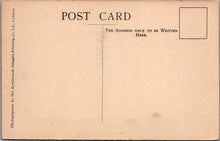 Load image into Gallery viewer, Middlesex Postcard - Hampton Court Palace, View From Vinery SW10695
