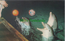 Load image into Gallery viewer, Animals Postcard - Dolphins at Brighton Aquarium, Sussex SW10367
