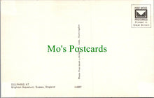 Load image into Gallery viewer, Animals Postcard - Dolphins at Brighton Aquarium, Sussex SW10367
