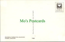 Load image into Gallery viewer, Animals Postcard - Dolphin at Brighton Aquarium, Sussex  SW10372
