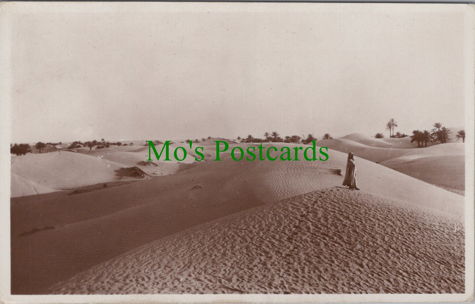 Algeria Postcard - Desert Scene, Les Dunes Dans Le Sud SW10411