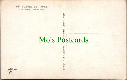 Algeria Postcard - Desert Scene, Les Dunes Dans Le Sud SW10411