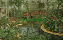 Load image into Gallery viewer, Surrey Postcard - R.H.S.Garden, Wisley - The Display House SW10423
