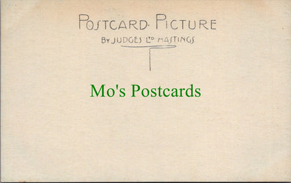 Animals Postcard - Cows - The Heat of The Day  SW10449