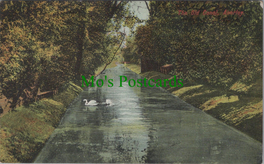 London Postcard - The Old Canal, Anerley, Bromley SW10451