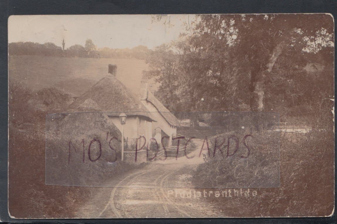 Dorset Postcard - Piddletrenthide Village, 1912 - Mo’s Postcards 