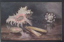 Load image into Gallery viewer, Nature Postcard - The Sea &amp; Beach - Sea Shells - Series 2 - Mo’s Postcards 
