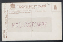 Load image into Gallery viewer, Nature Postcard - The Sea &amp; Beach - Sea Shells - Series 2 - Mo’s Postcards 
