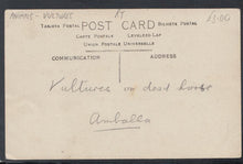 Load image into Gallery viewer, Animals Postcard - Vultures on a Dead Horse, Amballa - Mo’s Postcards 
