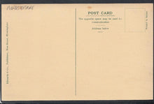 Load image into Gallery viewer, Worcestershire Postcard - Dog and Duck Ferry, Worcester - Mo’s Postcards 

