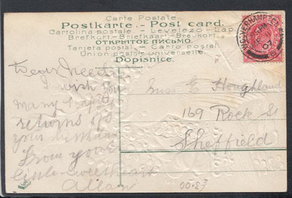 Embossed Greetings Postcard - A Happy Birthday - Birds - Robin, 1907 - Mo’s Postcards 