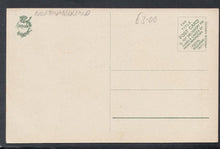 Load image into Gallery viewer, Northumberland Postcard - The Terrace, Elswick Park, Newcastle-On-Tyne - Mo’s Postcards 
