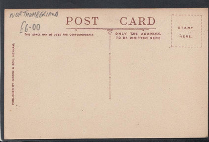Northumberland Postcard - Newton Village - Mo’s Postcards 