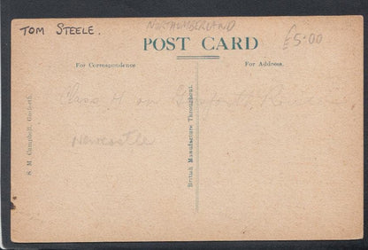 Northumberland Postcard - Little Bridge, Gosforth - Mo’s Postcards 