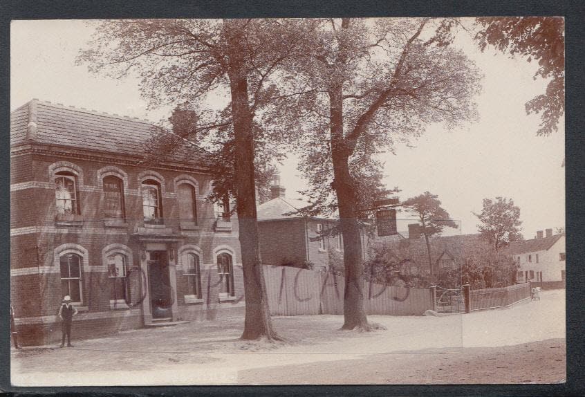 Norfolk Postcard - White Lion Pub and The Stores, East Harling, 1905 - Mo’s Postcards 