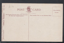 Load image into Gallery viewer, Comic Postcard - Uncle Podger / Matrimony / Marriage / Advice - Mo’s Postcards 
