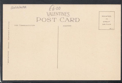 Cornwall Postcard - Fore Street, Pensilva - Mo’s Postcards 