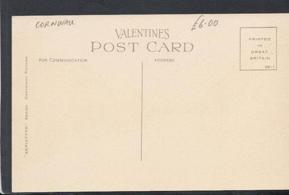 Cornwall Postcard - Princess Road, Pensilva - Mo’s Postcards 