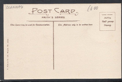 Cornwall Postcard - Liskeard, Victoria Terrace - Mo’s Postcards 