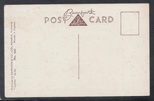 Load image into Gallery viewer, Comic Postcard - Picnic / Couple / Red / Animals / Bull - D.Tempest - Mo’s Postcards 
