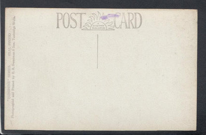 Isle of Wight Postcard - The Italian Garden, Osborne - Mo’s Postcards 