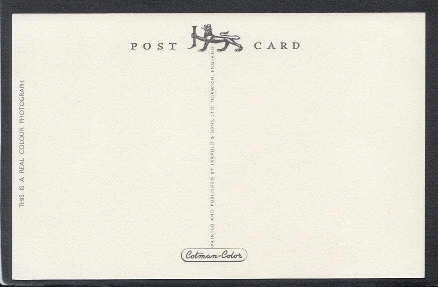 Somerset Postcard - The Winter Gardens, Weston-Super-Mare - Mo’s Postcards 