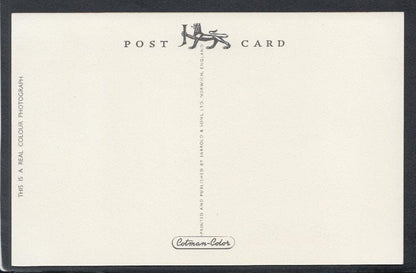 Somerset Postcard - The Winter Gardens, Weston-Super-Mare - Mo’s Postcards 