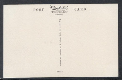 Essex Postcard - The Sunken Gardens, Clacton-On-Sea - Mo’s Postcards 