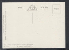 Load image into Gallery viewer, Devon Postcard - Stalagmite Grotto, Kents Cavern, Torquay - Mo’s Postcards 
