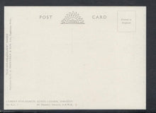 Load image into Gallery viewer, Devon Postcard - Famous Stalagmite, Kents Cavern, Torquay - Mo’s Postcards 
