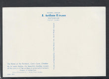 Load image into Gallery viewer, Somerset Postcard - The Home of The Rainbow, Cox&#39;s Cave, Cheddar - Mo’s Postcards 
