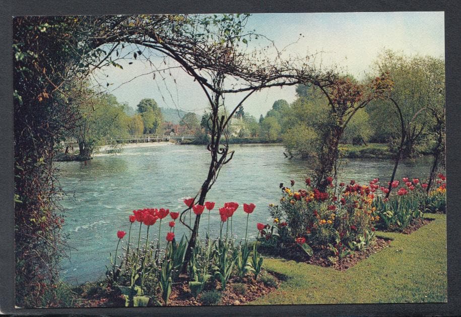 Berkshire Postcard - The Thames at Pangbourne - Mo’s Postcards 