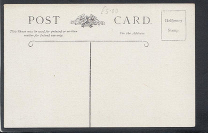 Cumbria Postcard - Netherby Hall, Longtown, Carlisle - Mo’s Postcards 