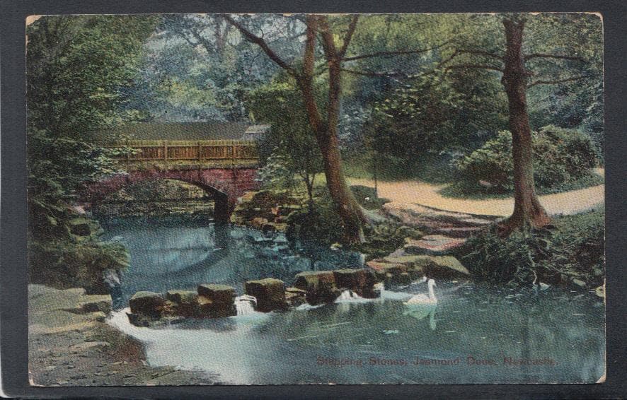 Northumberland Postcard - Stepping Stones, Jesmond Dene, Newcastle - Mo’s Postcards 