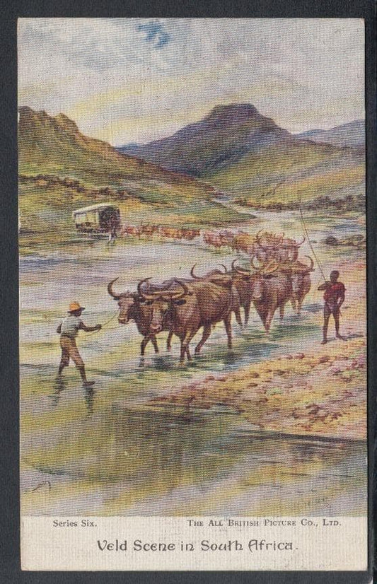 South Africa Postcard - Veld Scene in South Africa, 1936 - Mo’s Postcards 