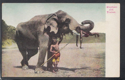 Animals Postcard - Elephant and Trainer - Mo’s Postcards 