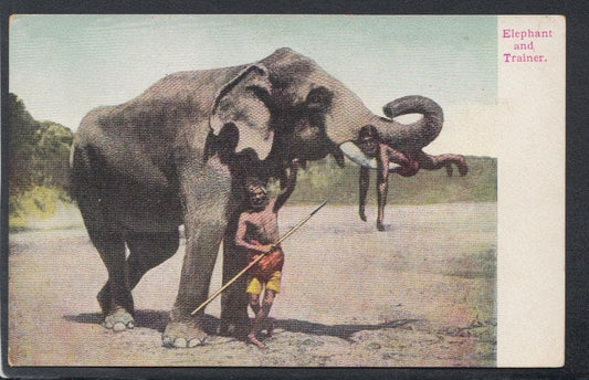 Animals Postcard - Elephant and Trainer - Mo’s Postcards 