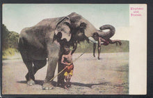 Load image into Gallery viewer, Animals Postcard - Elephant and Trainer - Mo’s Postcards 

