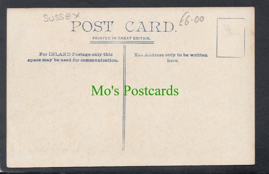 Sussex Postcard - Harting Village - Mo’s Postcards 