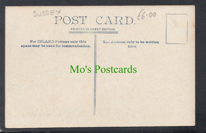 Sussex Postcard - Harting Village - Mo’s Postcards 