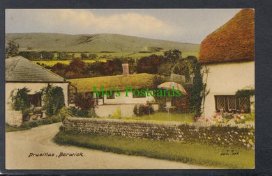Sussex Postcard - Drusillas, Berwick - Mo’s Postcards 
