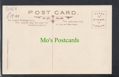 Sussex Postcard - Vanguard Motor Accident, Handcross, July 12th 1906 - Mo’s Postcards 