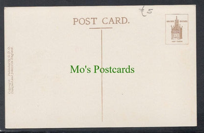 Education Postcard - Cambridge University Robes - Doctor of Medicine - Mo’s Postcards 