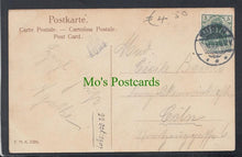 Load image into Gallery viewer, Food &amp; Drink Postcard - Wine and Fruit, 1909 - Mo’s Postcards 
