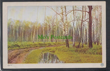 Load image into Gallery viewer, Nature Postcard - Countryside in April - Woodland Walk, Trees - Mo’s Postcards 
